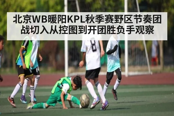 北京WB暖阳KPL秋季赛野区节奏团战切入从控图到开团胜负手观察